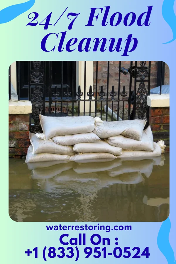 24/7 Flood Cleanup in Mineral Wells, TX