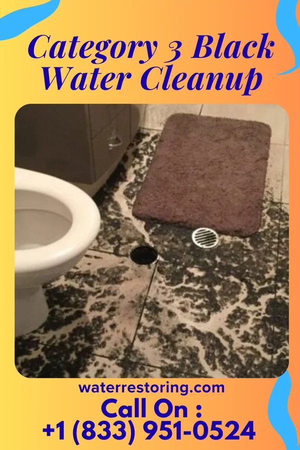 Category 3 Black Water Cleanup in Mineral Wells, TX