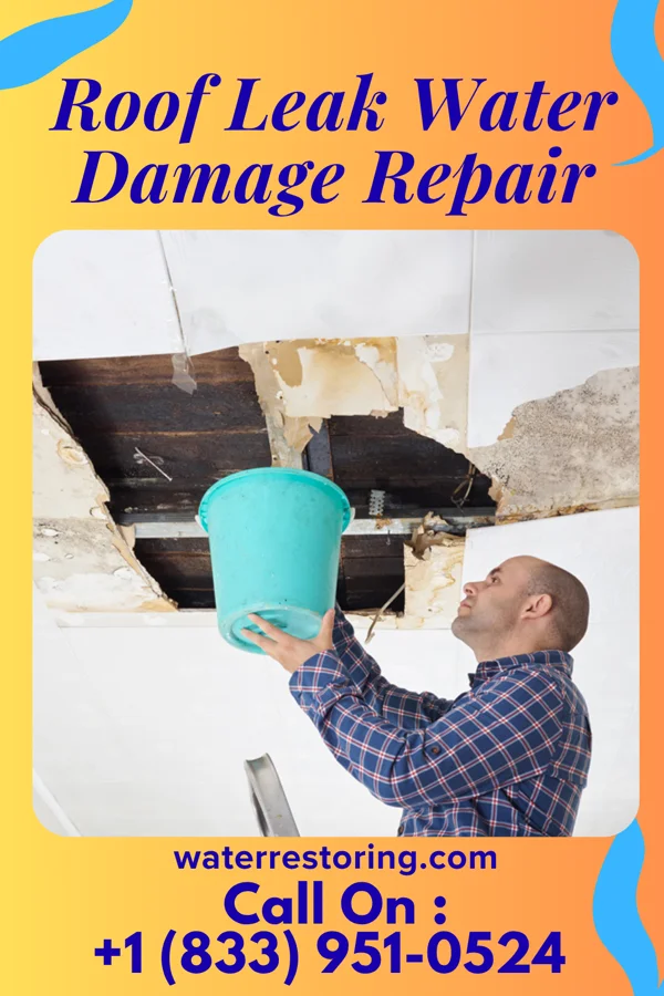 Roof Leak Water Damage Repair in Mineral Wells, TX